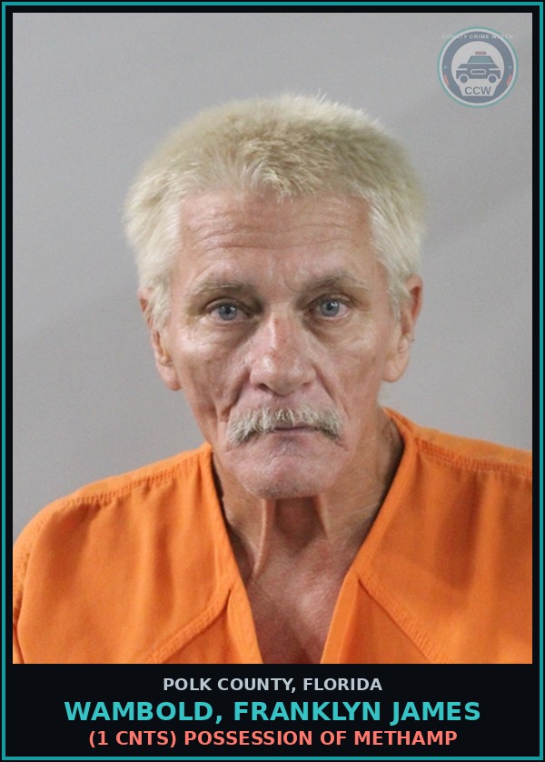Booking mugshot of WAMBOLD, FRANKLYN JAMES in Polk County