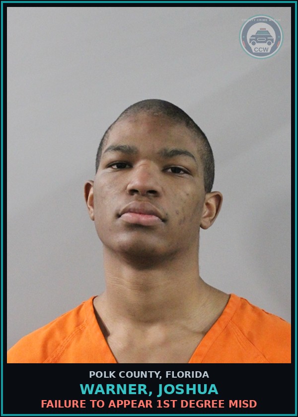 Booking mugshot of WARNER, JOSHUA in Polk County