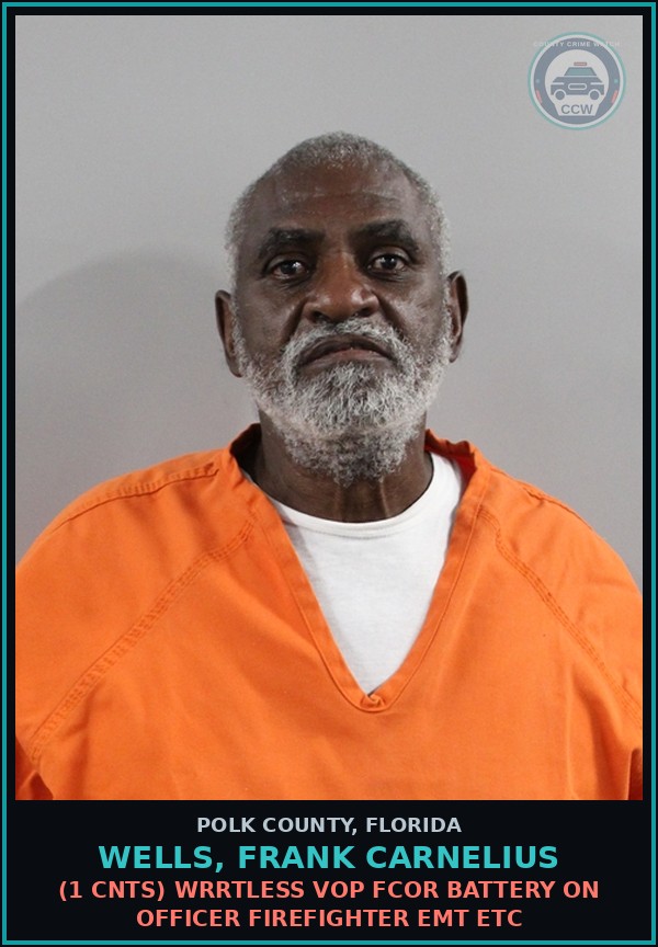 Booking mugshot of WELLS, FRANK CARNELIUS in Polk County