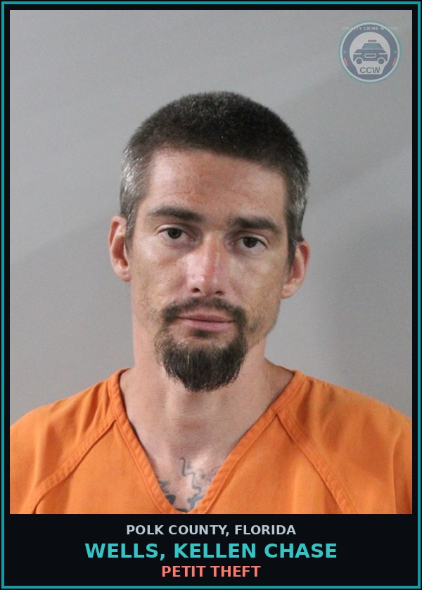 Booking mugshot of WELLS, KELLEN CHASE in Polk County