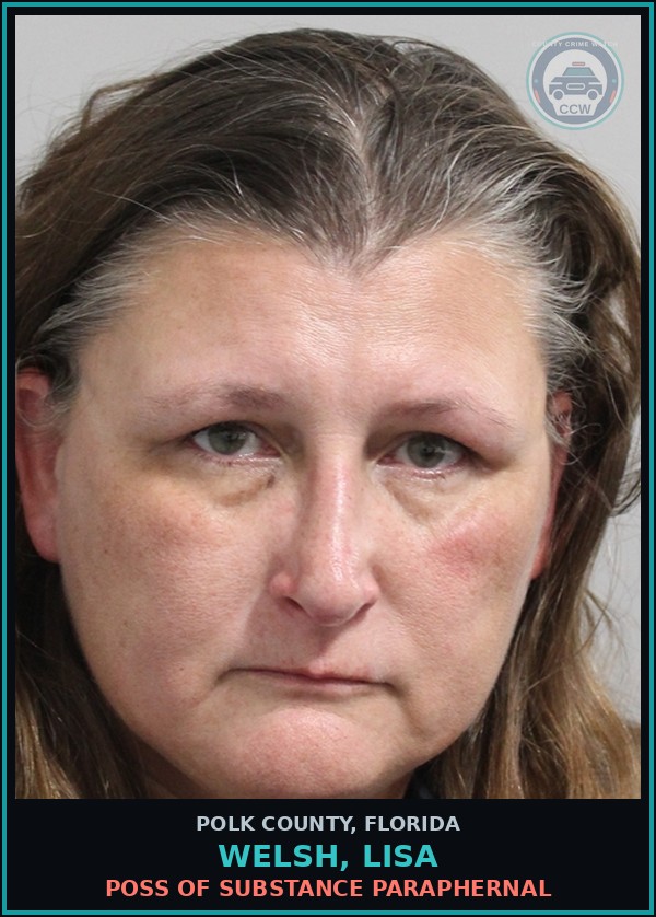 Booking mugshot of WELSH, LISA in Polk County