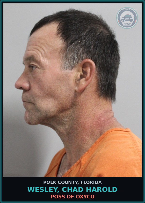Booking mugshot of WESLEY, CHAD HAROLD in Polk County
