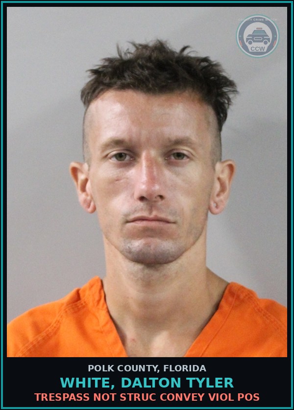 Booking mugshot of WHITE, DALTON TYLER in Polk County