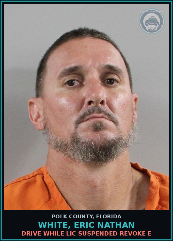 Booking mugshot of WHITE, ERIC NATHAN in Polk County