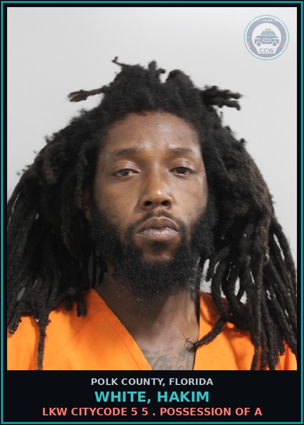 Booking mugshot of WHITE, HAKIM in Polk County