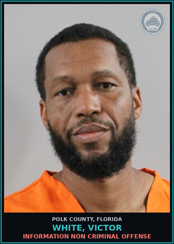 Booking mugshot of WHITE, VICTOR in Polk County
