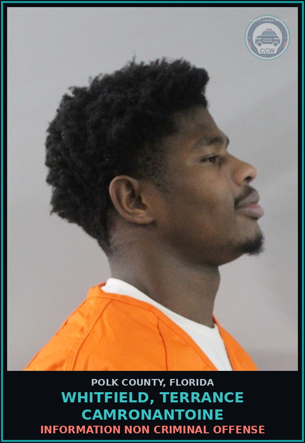 Booking mugshot of WHITFIELD, TERRANCE CAMRONANTOINE in Polk County