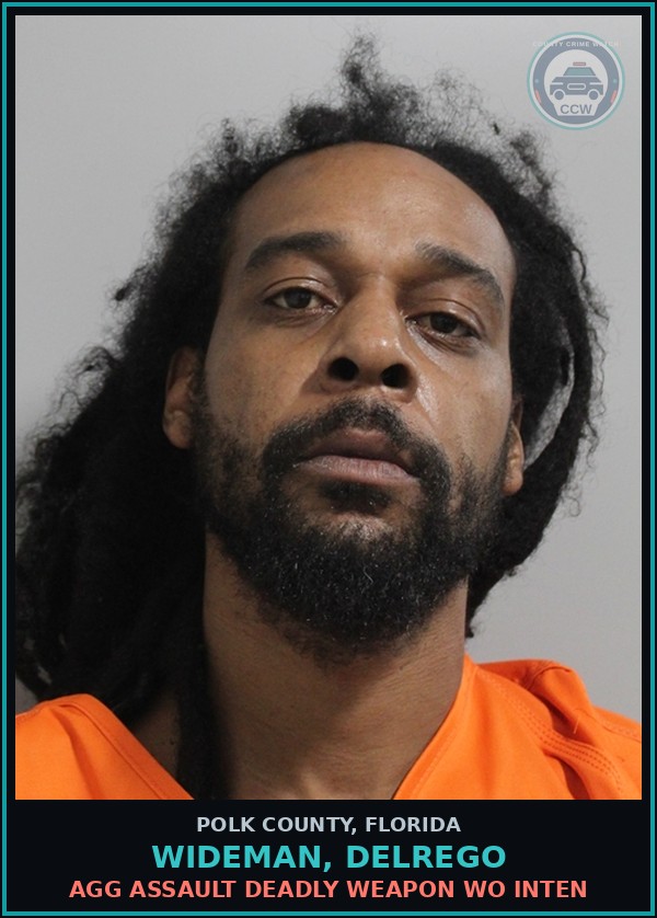 Booking mugshot of WIDEMAN, DELREGO in Polk County