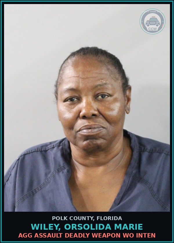 Booking mugshot of WILEY, ORSOLIDA MARIE in Polk County