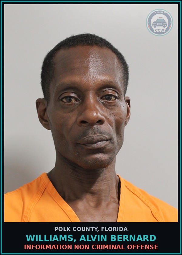 Booking mugshot of WILLIAMS, ALVIN BERNARD in Polk County