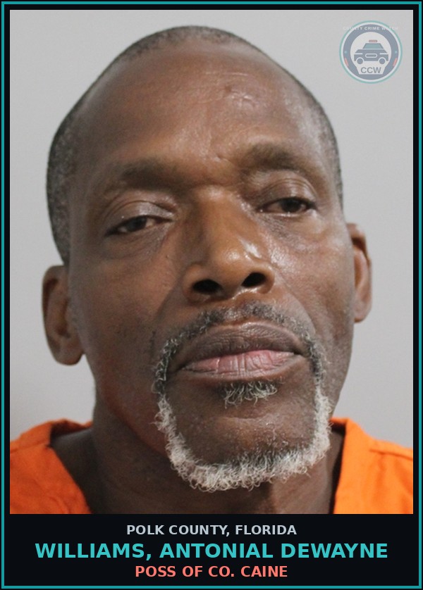 Booking mugshot of WILLIAMS, ANTONIAL DEWAYNE in Polk County
