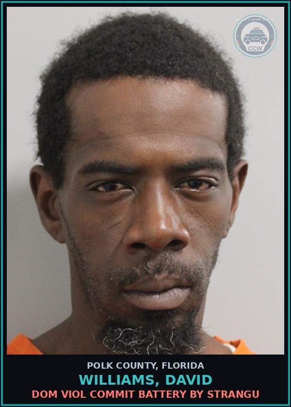 Booking mugshot of WILLIAMS, DAVID in Polk County