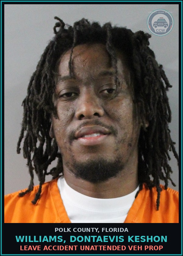 Booking mugshot of WILLIAMS, DONTAEVIS KESHON in Polk County
