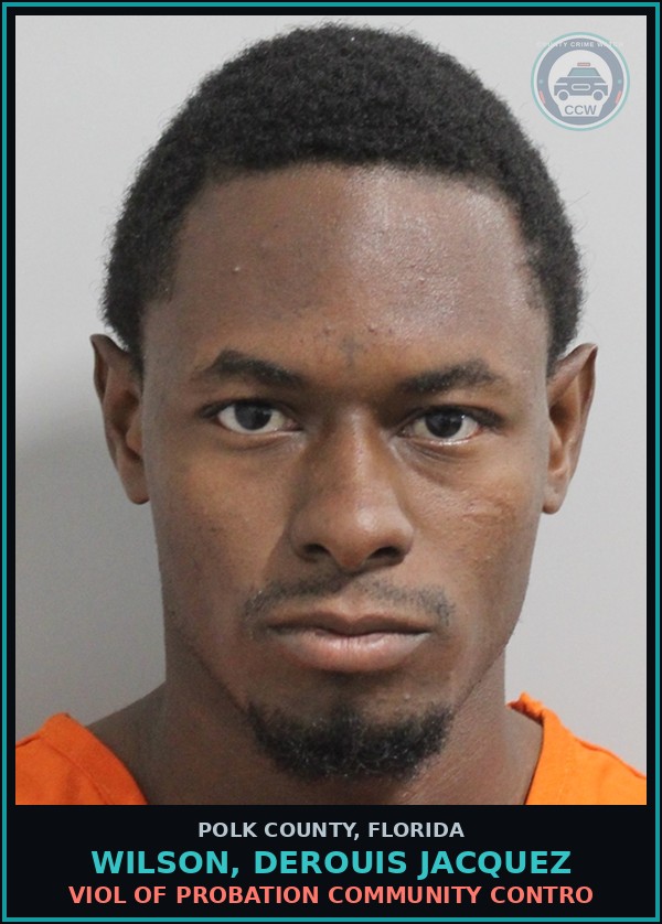 Booking mugshot of WILSON, DEROUIS JACQUEZ in Polk County
