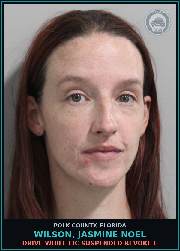 Booking mugshot of WILSON, JASMINE NOEL in Polk County