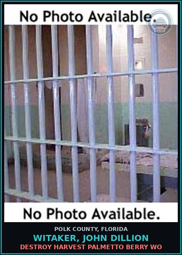 Booking mugshot of WITAKER, JOHN DILLION in Polk County