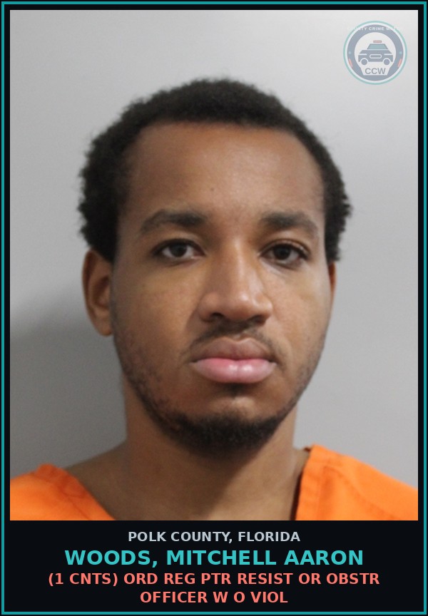 Booking mugshot of WOODS, MITCHELL AARON in Polk County