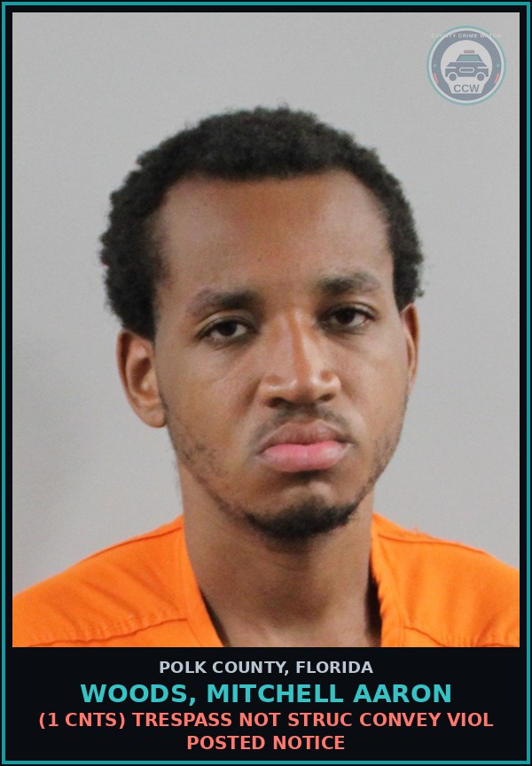 Booking mugshot of WOODS, MITCHELL AARON in Polk County