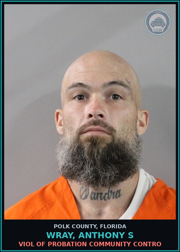 Booking mugshot of WRAY, ANTHONY S in Polk County