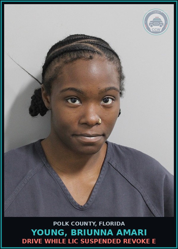 Booking mugshot of YOUNG, BRIUNNA AMARI in Polk County