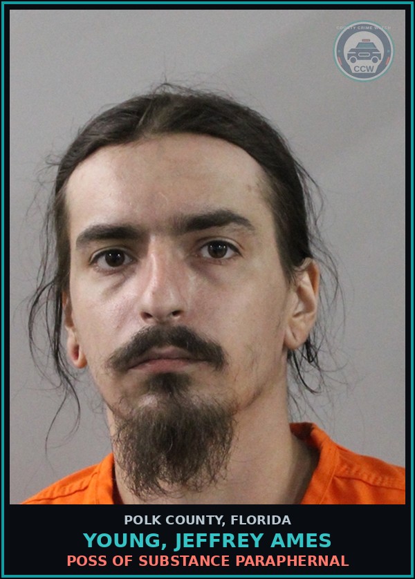 Booking mugshot of YOUNG, JEFFREY AMES in Polk County