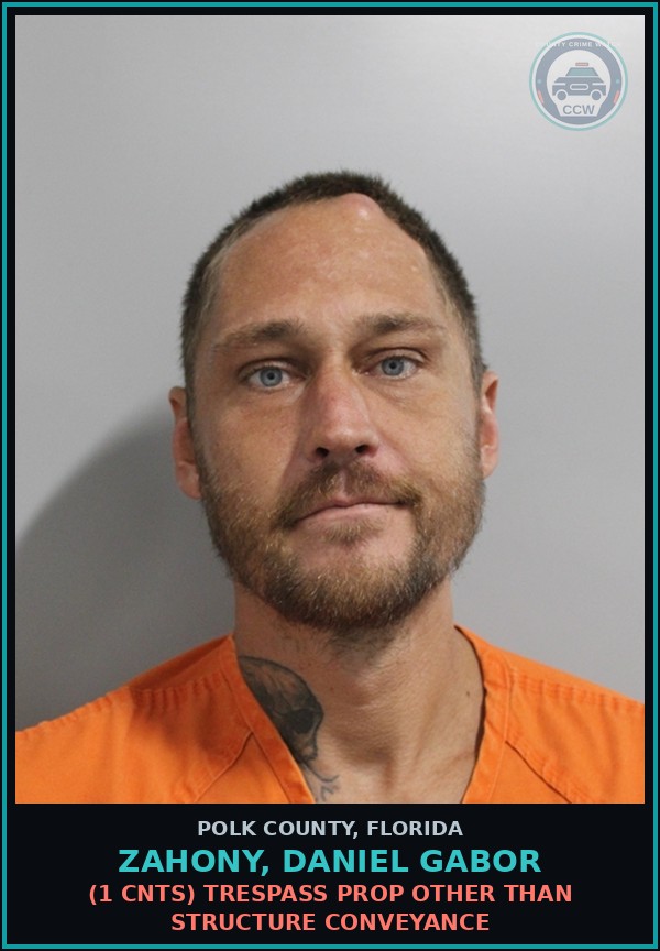 Booking mugshot of ZAHONY, DANIEL GABOR in Polk County