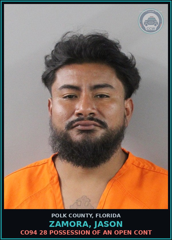 Booking mugshot of ZAMORA, JASON in Polk County