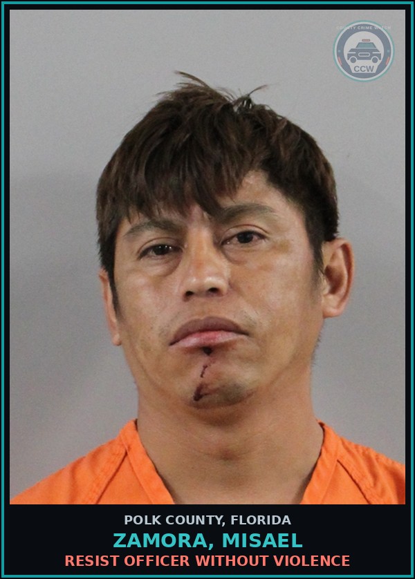 Booking mugshot of ZAMORA, MISAEL in Polk County