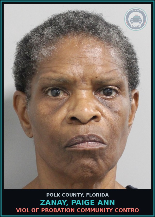 Booking mugshot of ZANAY, PAIGE ANN in Polk County
