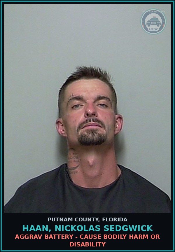 Booking mugshot of HAAN, NICKOLAS SEDGWICK in Putnam County
