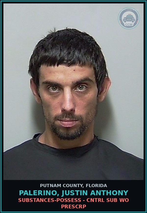 Booking mugshot of PALERINO, JUSTIN ANTHONY in Putnam County