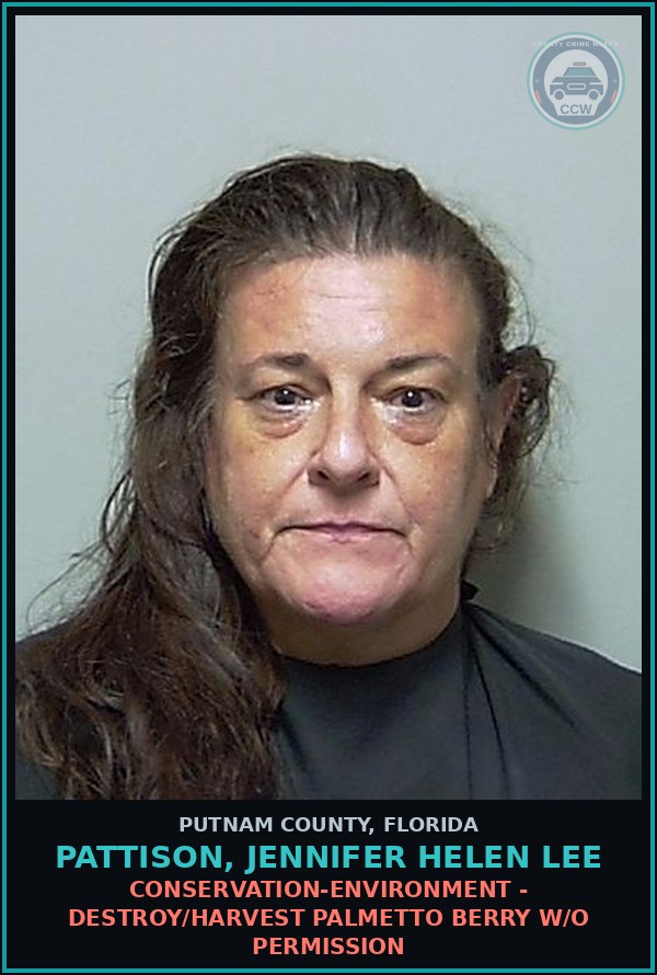 Booking mugshot of PATTISON, JENNIFER HELEN LEE in Putnam County