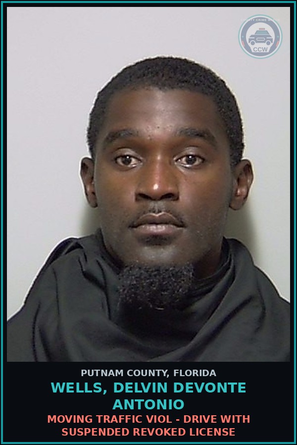 Booking mugshot of WELLS, DELVIN DEVONTE ANTONIO in Putnam County