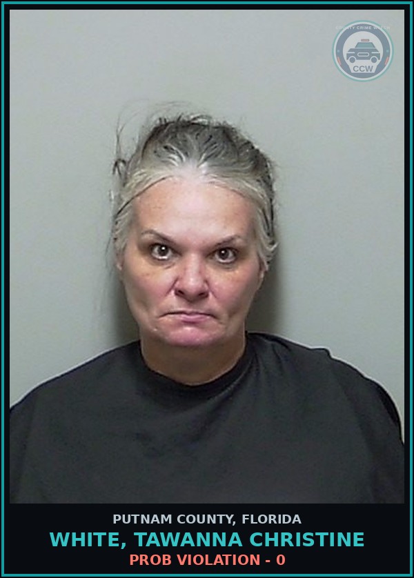 Booking mugshot of WHITE, TAWANNA CHRISTINE in Putnam County