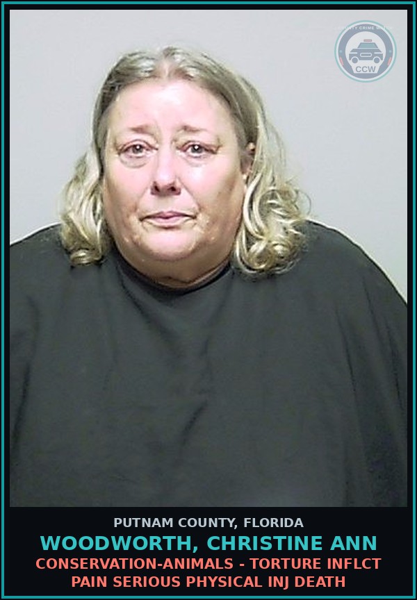 Booking mugshot of WOODWORTH, CHRISTINE ANN in Putnam County