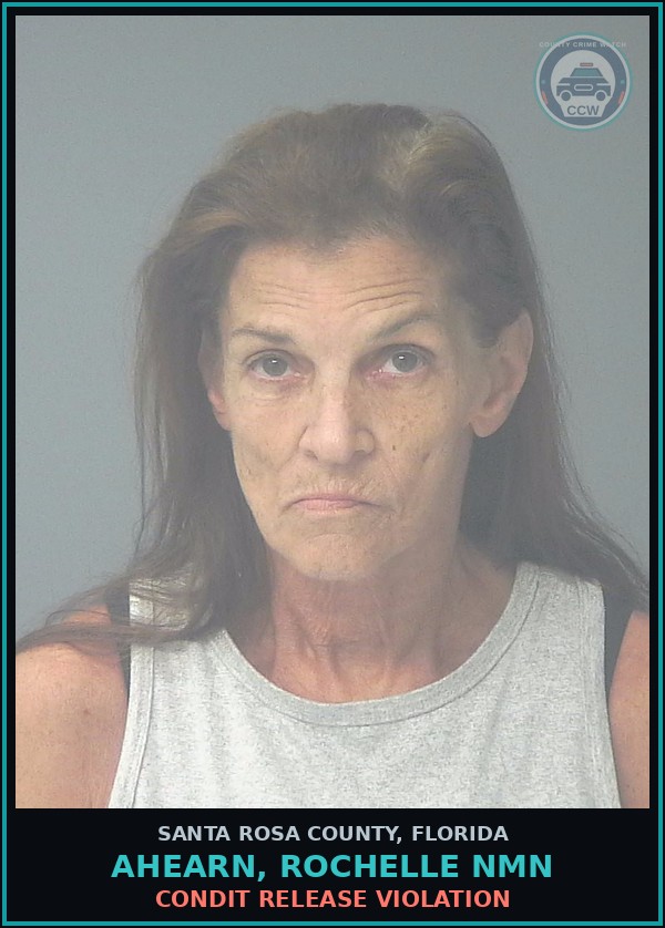 Booking mugshot of AHEARN, ROCHELLE NMN in Santa Rosa County