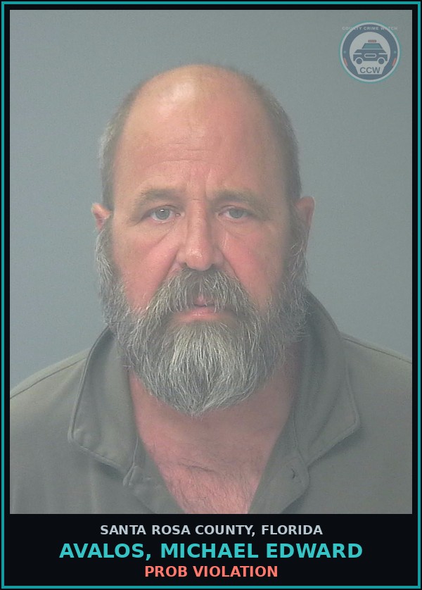 Booking mugshot of AVALOS, MICHAEL EDWARD in Santa Rosa County