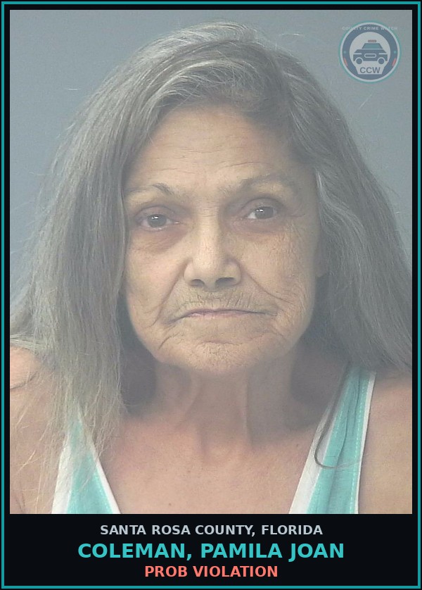 Booking mugshot of COLEMAN, PAMILA JOAN in Santa Rosa County