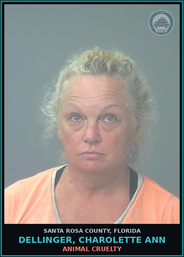 Booking mugshot of DELLINGER, CHAROLETTE ANN in Santa Rosa County