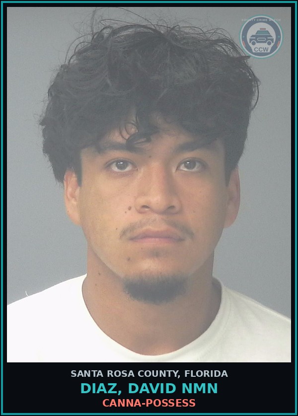 Booking mugshot of DIAZ, DAVID NMN in Santa Rosa County