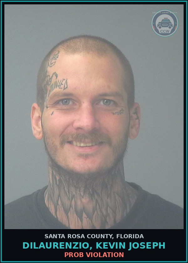 Booking mugshot of DILAURENZIO, KEVIN JOSEPH in Santa Rosa County