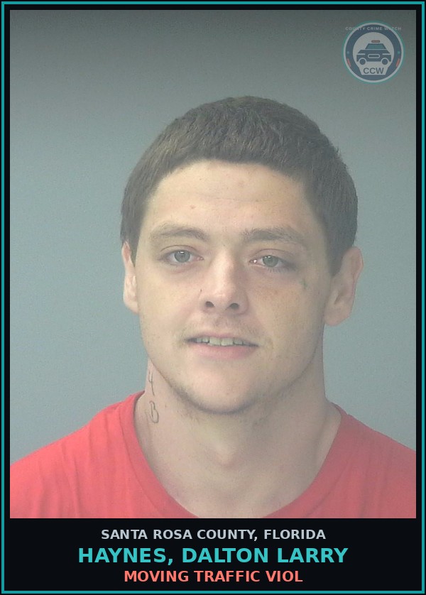 Booking mugshot of HAYNES, DALTON LARRY in Santa Rosa County