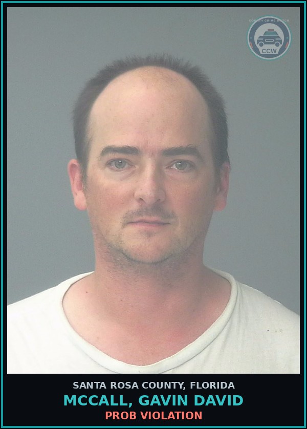 Booking mugshot of MCCALL, GAVIN DAVID in Santa Rosa County
