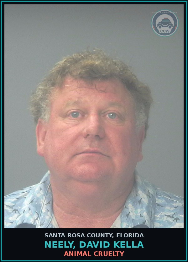 Booking mugshot of NEELY, DAVID KELLA in Santa Rosa County