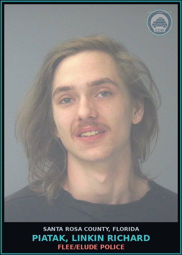 Booking mugshot of PIATAK, LINKIN RICHARD in Santa Rosa County