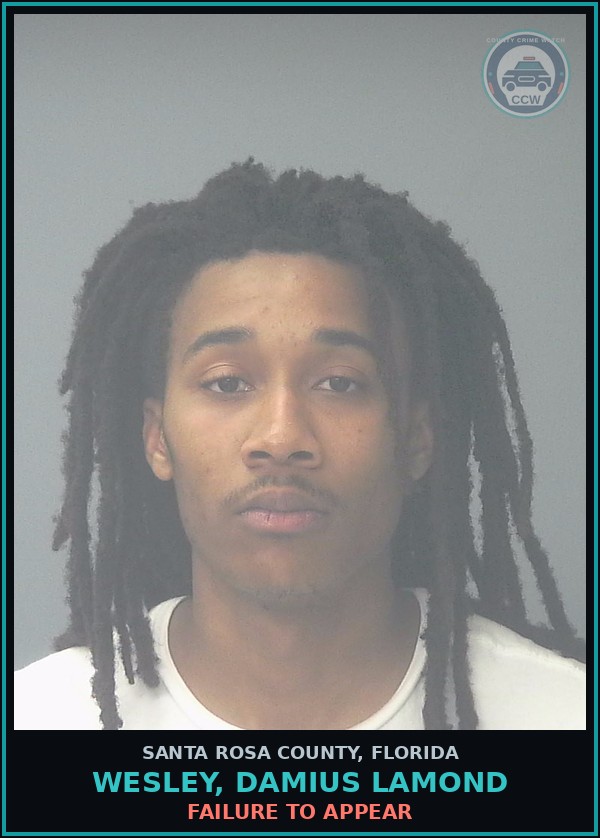 Booking mugshot of WESLEY, DAMIUS LAMOND in Santa Rosa County