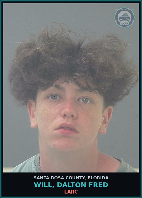 Booking mugshot of WILL, DALTON FRED in Santa Rosa County