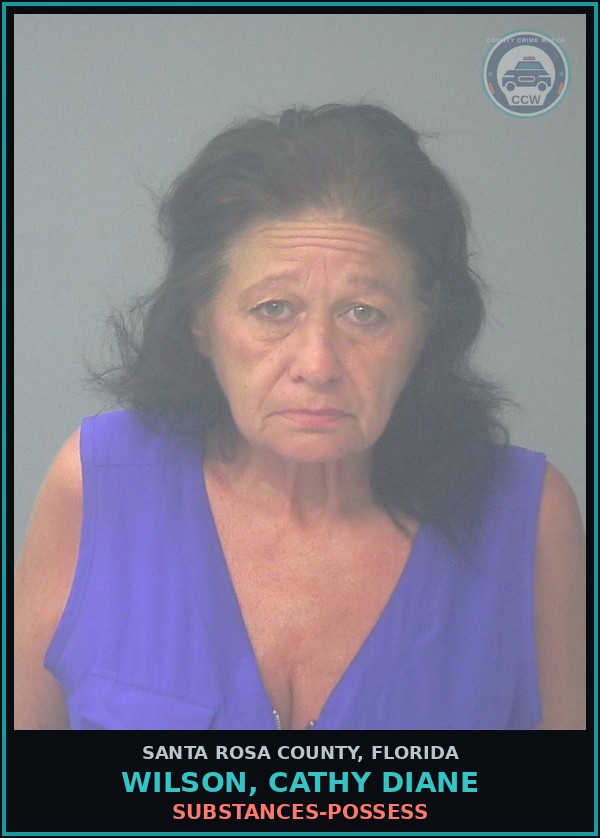 Booking mugshot of WILSON, CATHY DIANE in Santa Rosa County
