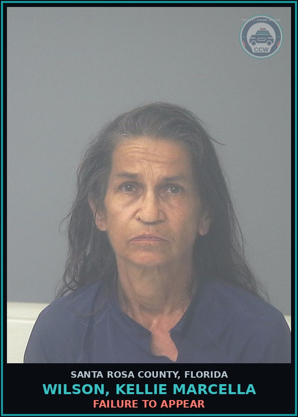 Booking mugshot of WILSON, KELLIE MARCELLA in Santa Rosa County