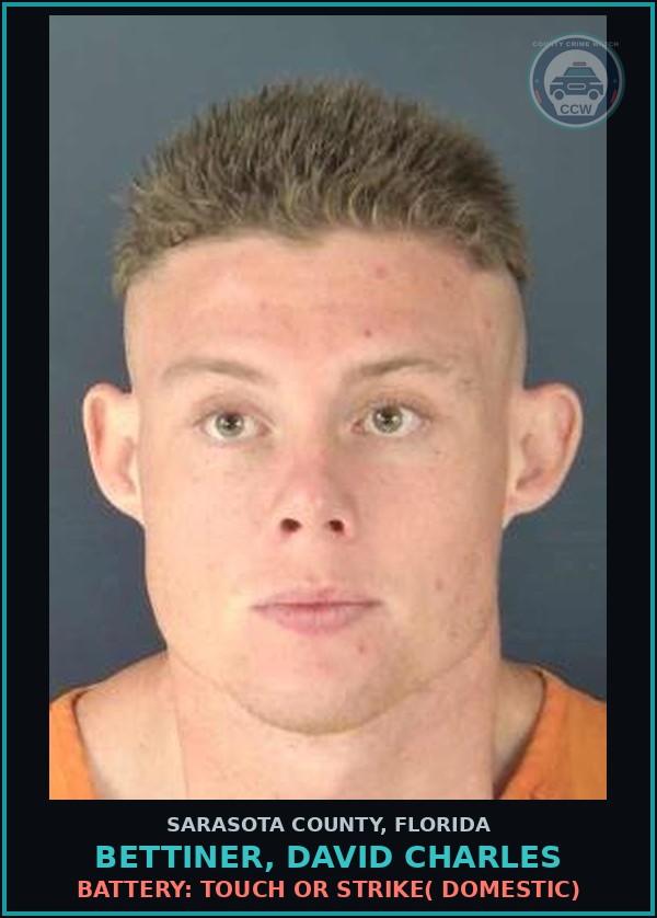 Booking mugshot of BETTINER, DAVID CHARLES in Sarasota County